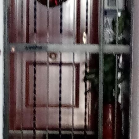 Shared Accommodation A Room With A View Of The Garden Sevilla Exteriör bild